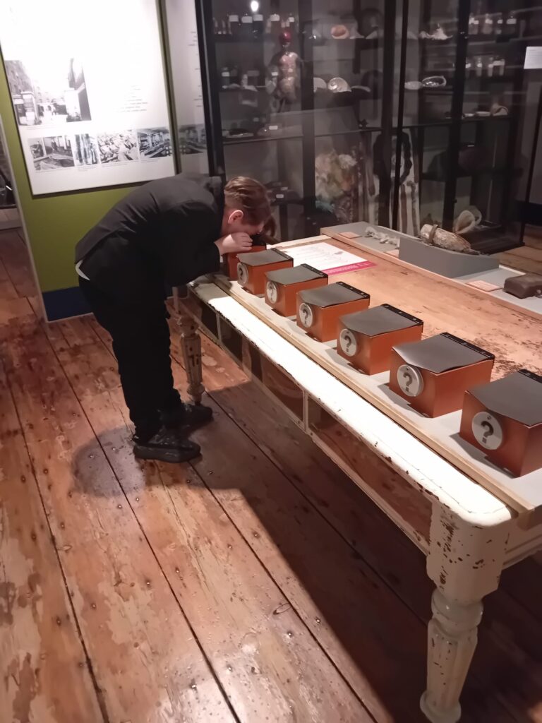 Students in a museum