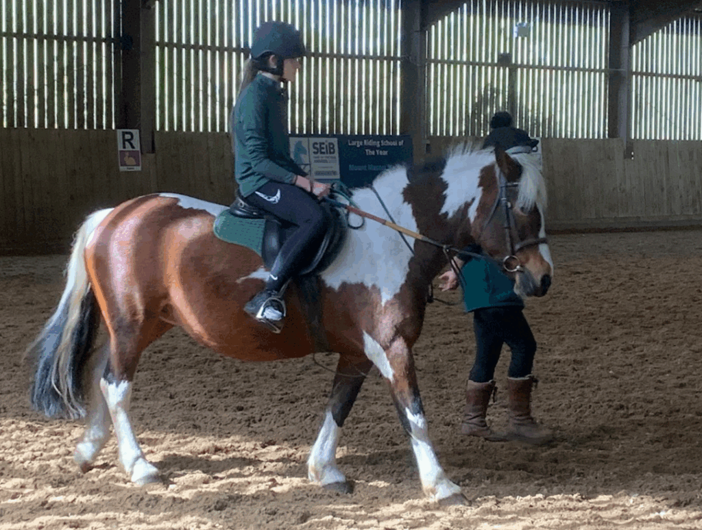 A child on a horse being guided around an indoor arena
